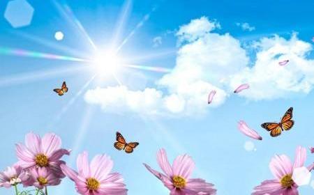 پروفایل عکس گل و پرنده های زیبا