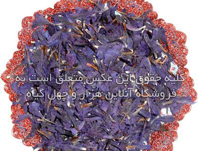 عکس گل گاوزبان خشک