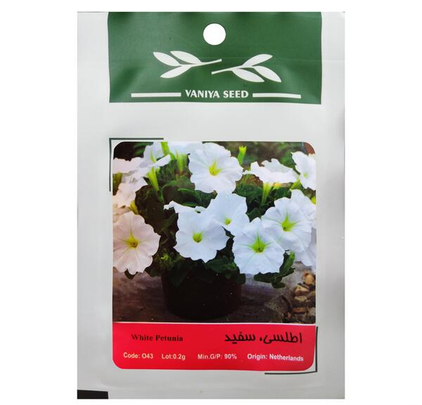 عکس بذر گل اطلسی