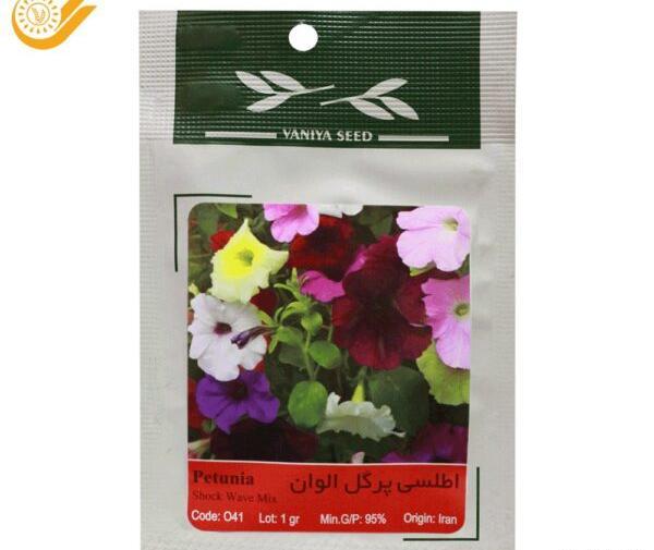 عکس بذر گل اطلسی