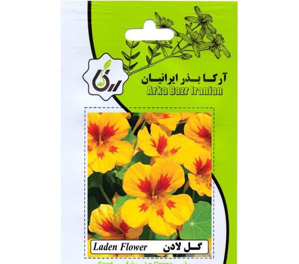عکس بذر گل لادن