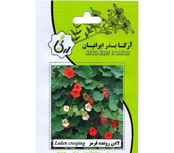 عکس بذر گل لادن