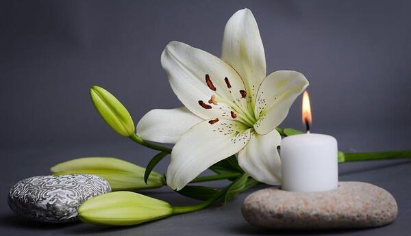 عکس گل سوسن برای پروفایل