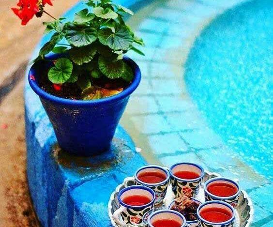عکس گل شمعدانی برای پروفایل