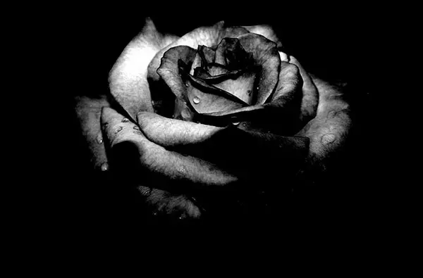 عکس ی صفحه سیاه