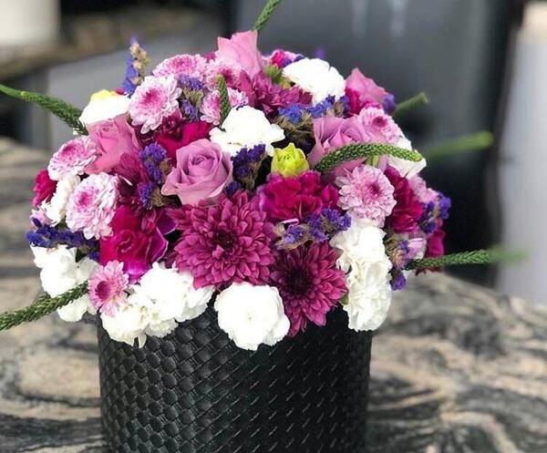 عکس گل میخک دارویی
