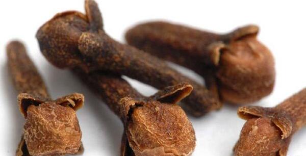 عکس گل میخک دارویی