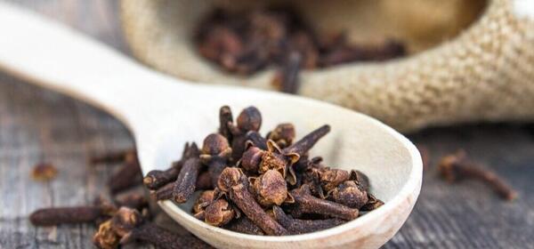 عکس گل میخک دارویی
