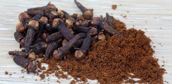 عکس گل میخک دارویی