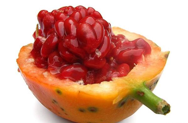 عکس از گل ساعتی