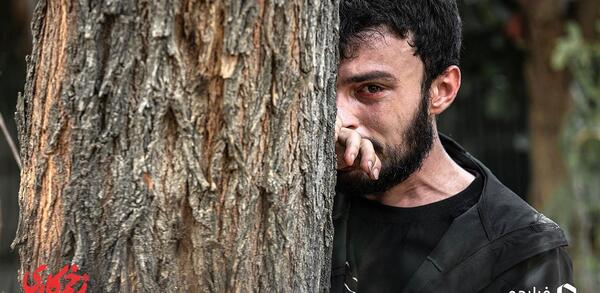 عکس هایی از سیاه زخم