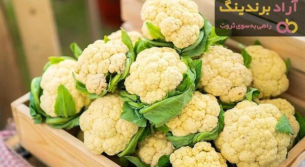 عکس گل کلم سرخ شده
