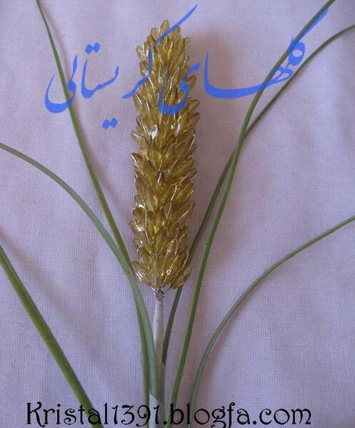 عکس گل گندمی کریستال