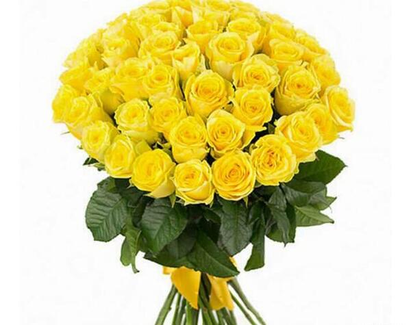 عکس گل زرد زیبا