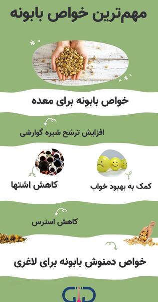 عکس گل بابونه خشک