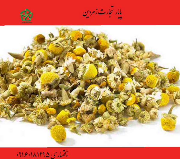 عکس گل بابونه خشک