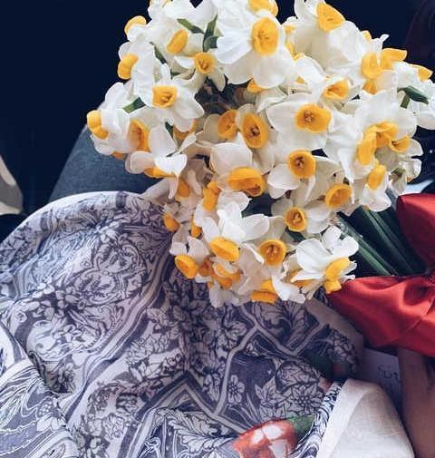 زیباترین عکس گل نرگس برای پروفایل