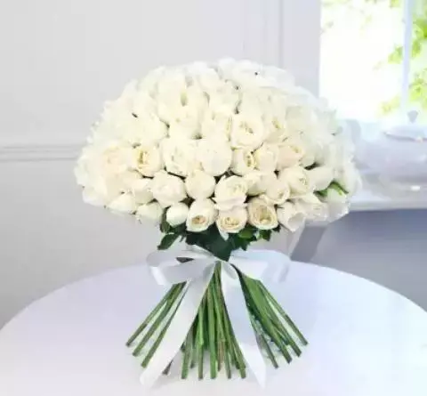 عکس های گل رز سفید