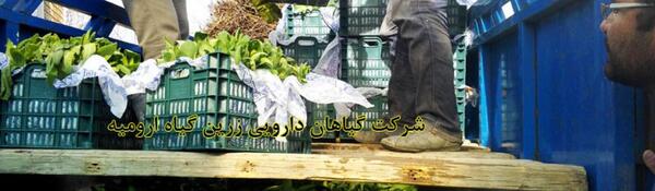 عکس تاجریزی سیاه