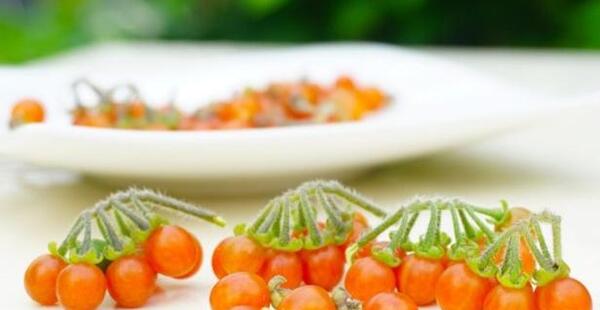 عکس تاجریزی سیاه
