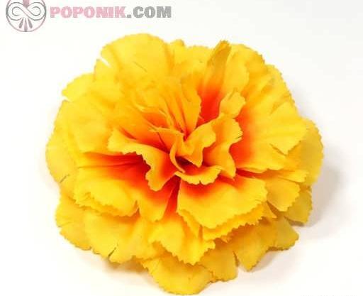 عکس گل میخک برای پروفایل