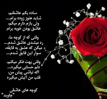 عکس گل زیباترین
