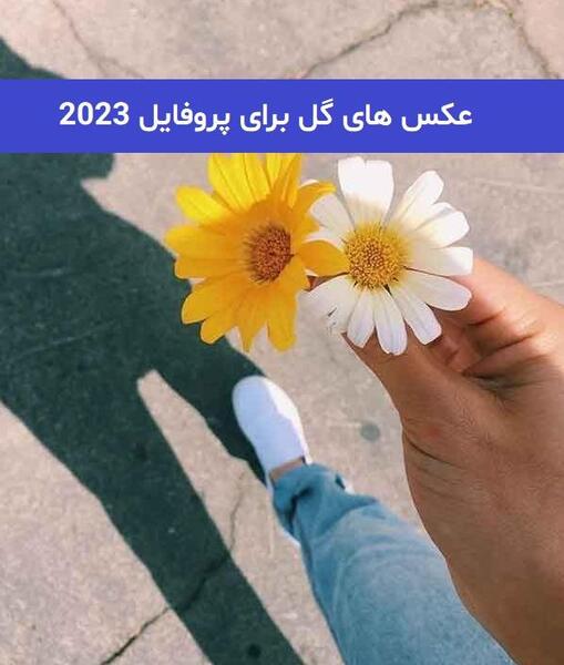 عکس های جذاب برای پروفایل