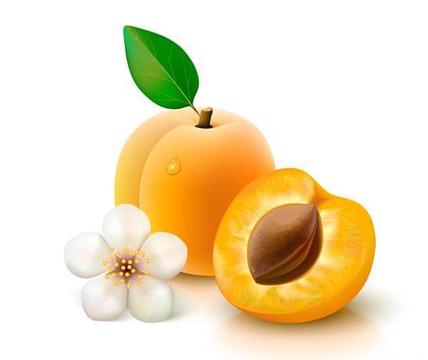 عکس زردآلو سیاه