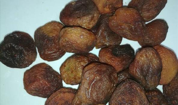 عکس زردآلو سیاه