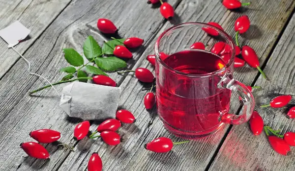 عکس گل نسترن کوهی