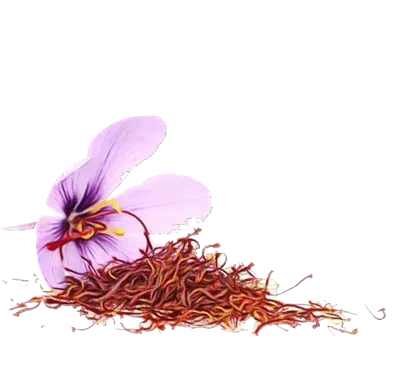 عکس عكس گل زعفران