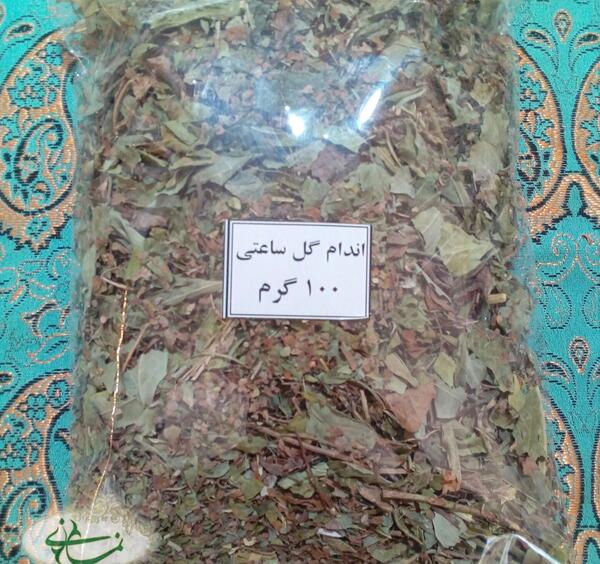 عکس بوته گل ساعتی
