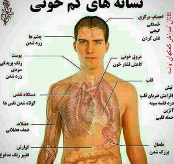 عکس سیاهرگ ها