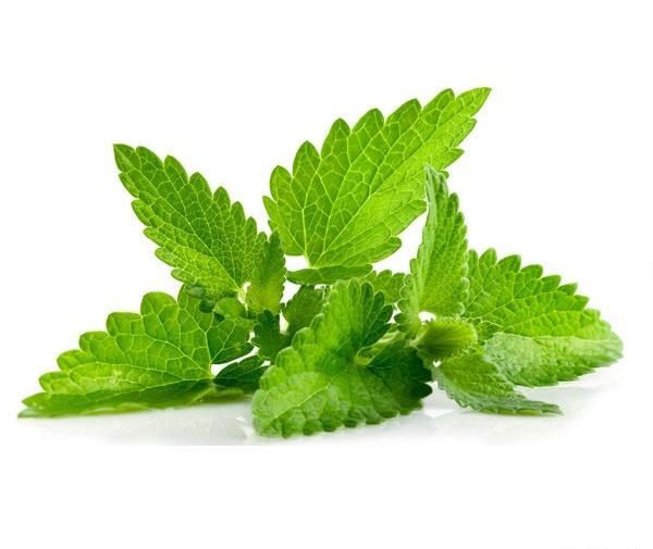 عکس گل سوسنبر