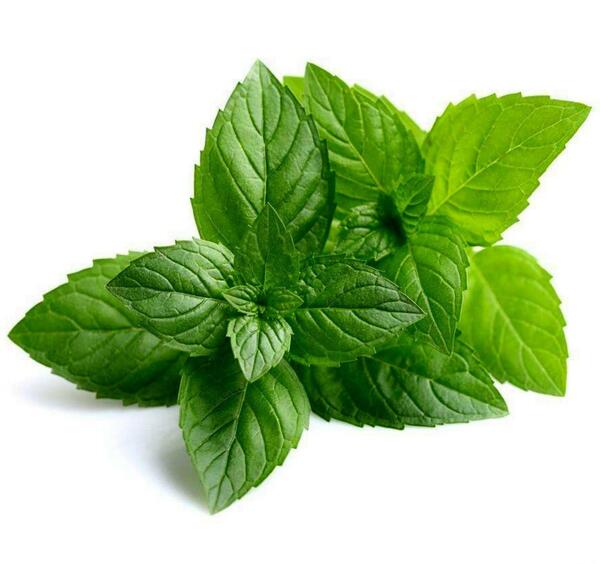 عکس گل سوسنبر