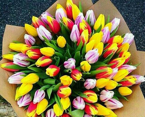 عکس گل زیبا تقدیم به شما