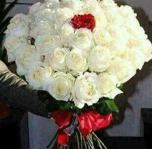 عکس گل زیبا تقدیم به شما