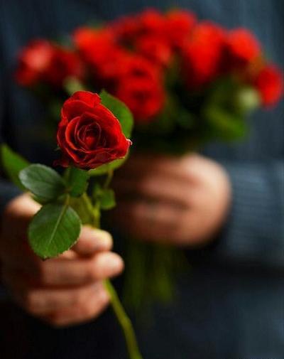 عکس گل زیبا تقدیم به شما