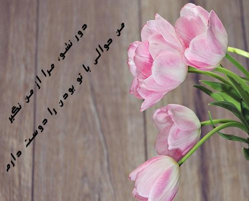 عکس گل عاشقانه با متن زیبا
