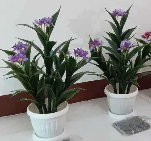 عکس گل مینا بنفش