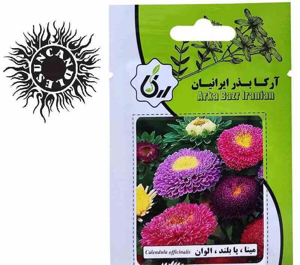 عکس گل مینا بنفش