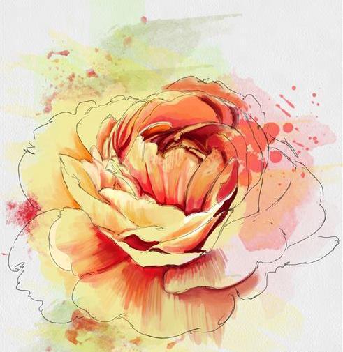 عکس گل صد تومانی سفید