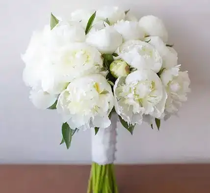 عکس گل صد تومانی سفید
