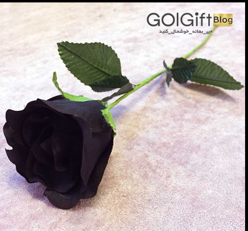 عکس گل سیاه رز