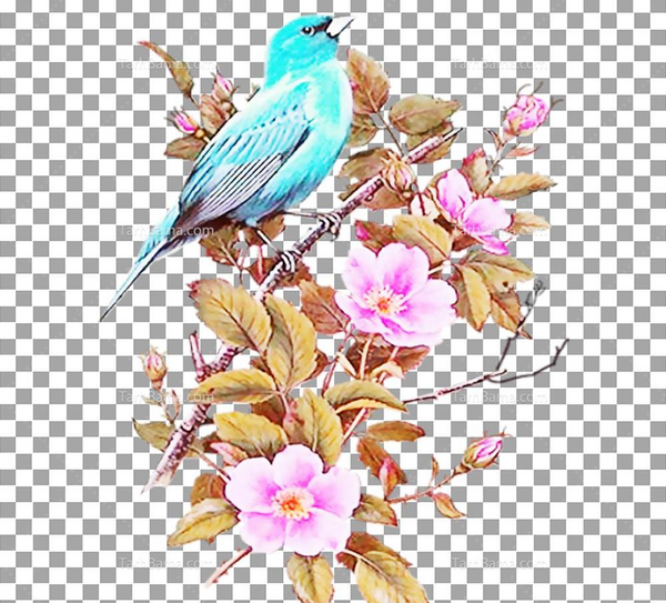 عکس گل طراحی شده