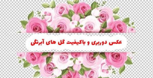 عکس گل طراحی شده