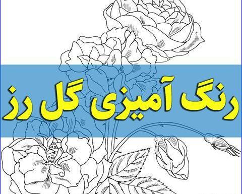 عکس کودکانه گل و گیاه