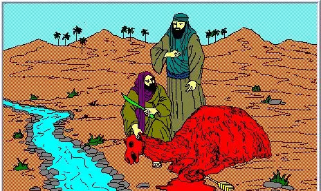 عکس نقاشی ضرب المثل دسته گل به آب دادن