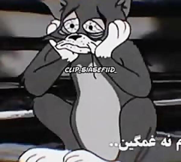 غمگین عکس گربه ناراحت برای پروفایل