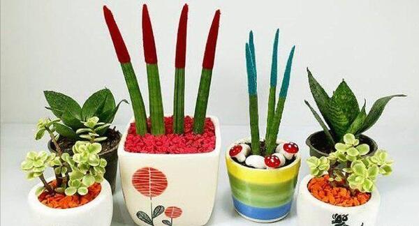عکس گل های خانگی با اسم